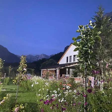 Breezy Hotel Bed & Breakfast